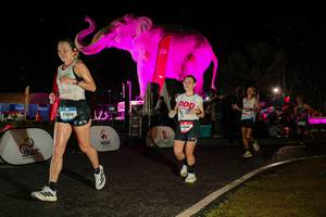 BIB: 
                            <button type="button" onclick="openModal(26534930)" class="btn btn-primary btn-sm float-right btn-popup" data-toggle="modal" data-target=".modal-high-quality">
                        <i class="fas fa-shopping-cart"></i> Add to Cart
                    </button>
                                            <button type="button" onclick="isThisMe(26534930, true)" class="btn btn-success btn-sm float-right btn-popup btn-isme hidden" data-toggle="tooltip" data-placement="bottom" title="นี่คือรูปของคุณใช่ไหม คลิกที่นี่เพื่อเอาเข้าอัลบั้ม">
                        <i class="fas fa-plus"></i> Add to album
                    </button>
                    <button type="button" onclick="isThisMe(26534930, false)" class="btn btn-warning btn-sm float-right btn-popup btn-isnotme hidden">
                        <i class="fas fa-ban"></i> Remove from album
                    </button>